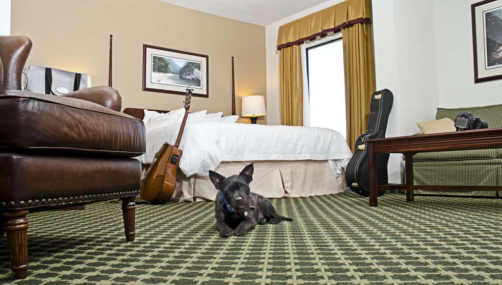 Hampton Inn Christiansburg/Blacksburg Rom bilde